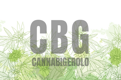 CBG – Il cannabigerolo